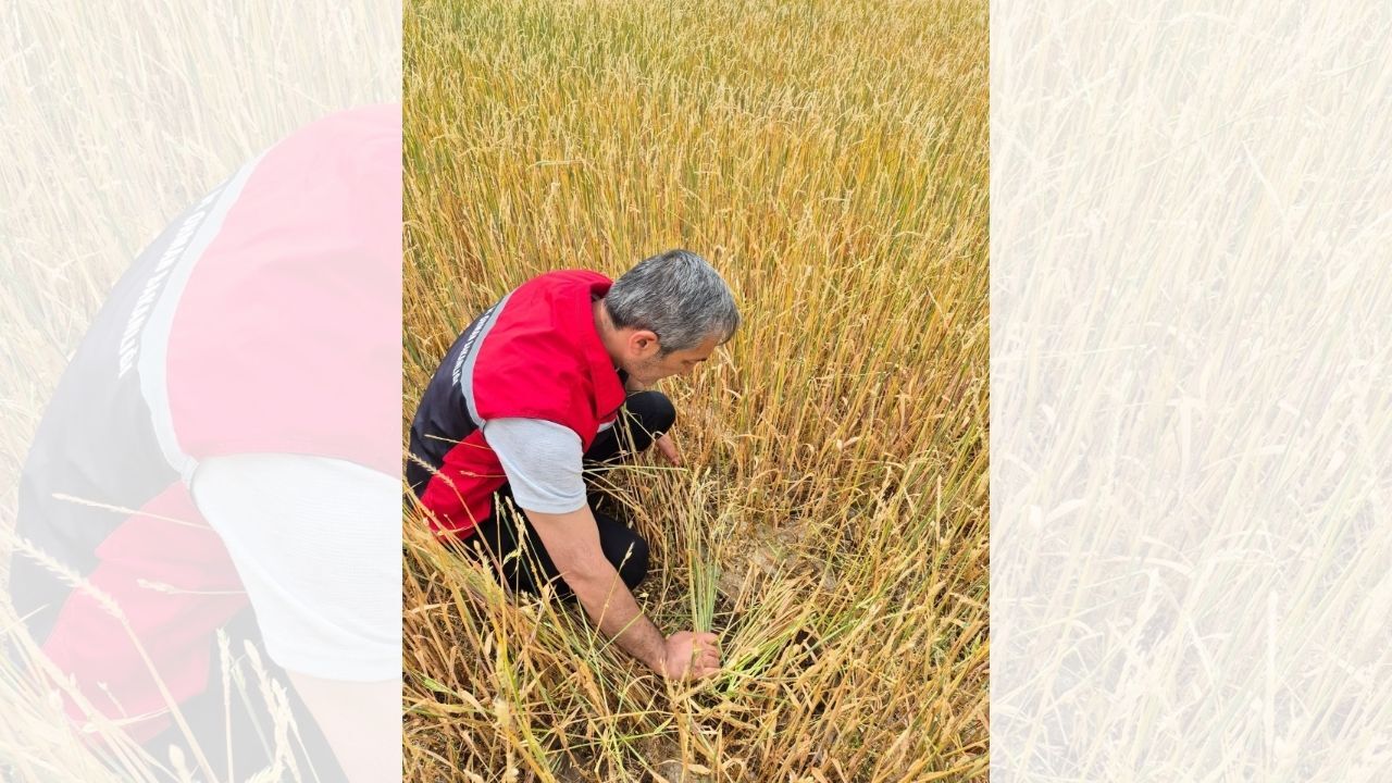 Yozgat'ı Sel Vurdu, Çiftçinin Hasarı Artıyor