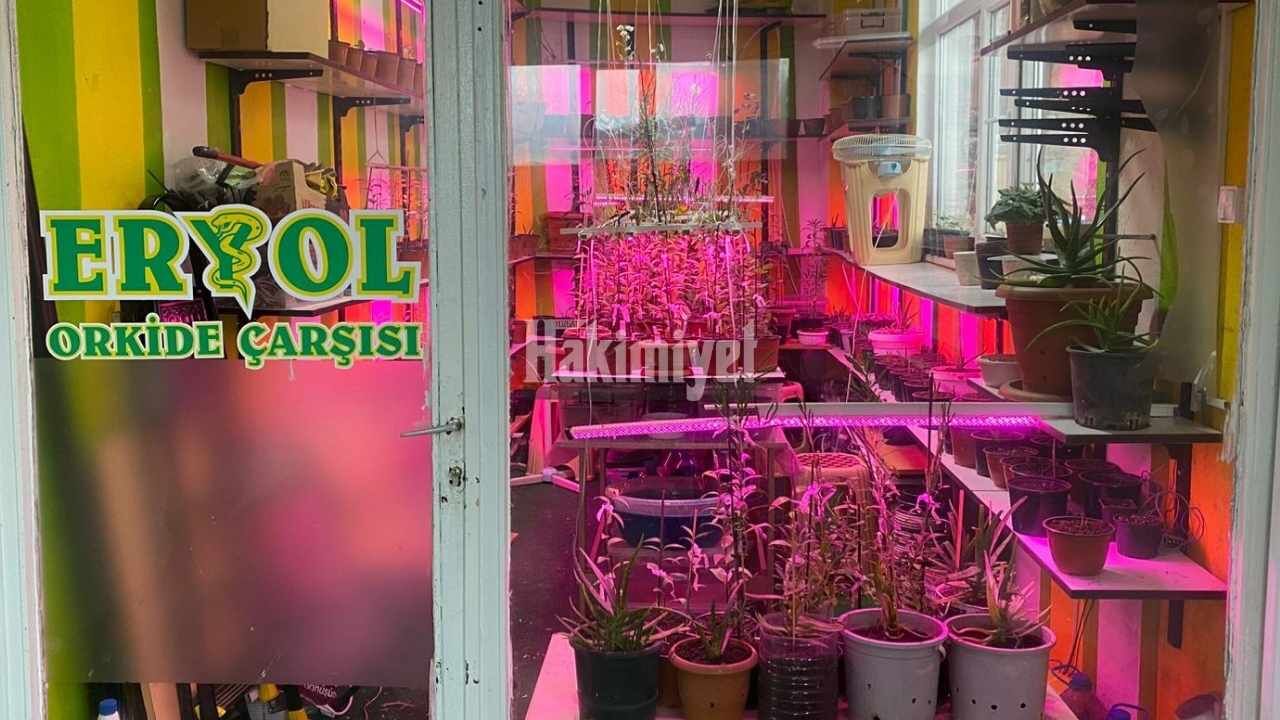 Yozgat’ın Gizli Hazinesi Mavi Orkide Çarşısı6