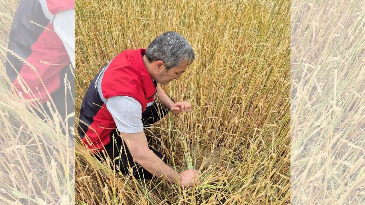 Yozgat'ın İki İlçesinde Aniden Bastırdı! Ekili Alanlar Savaş Alanına Döndü (1)