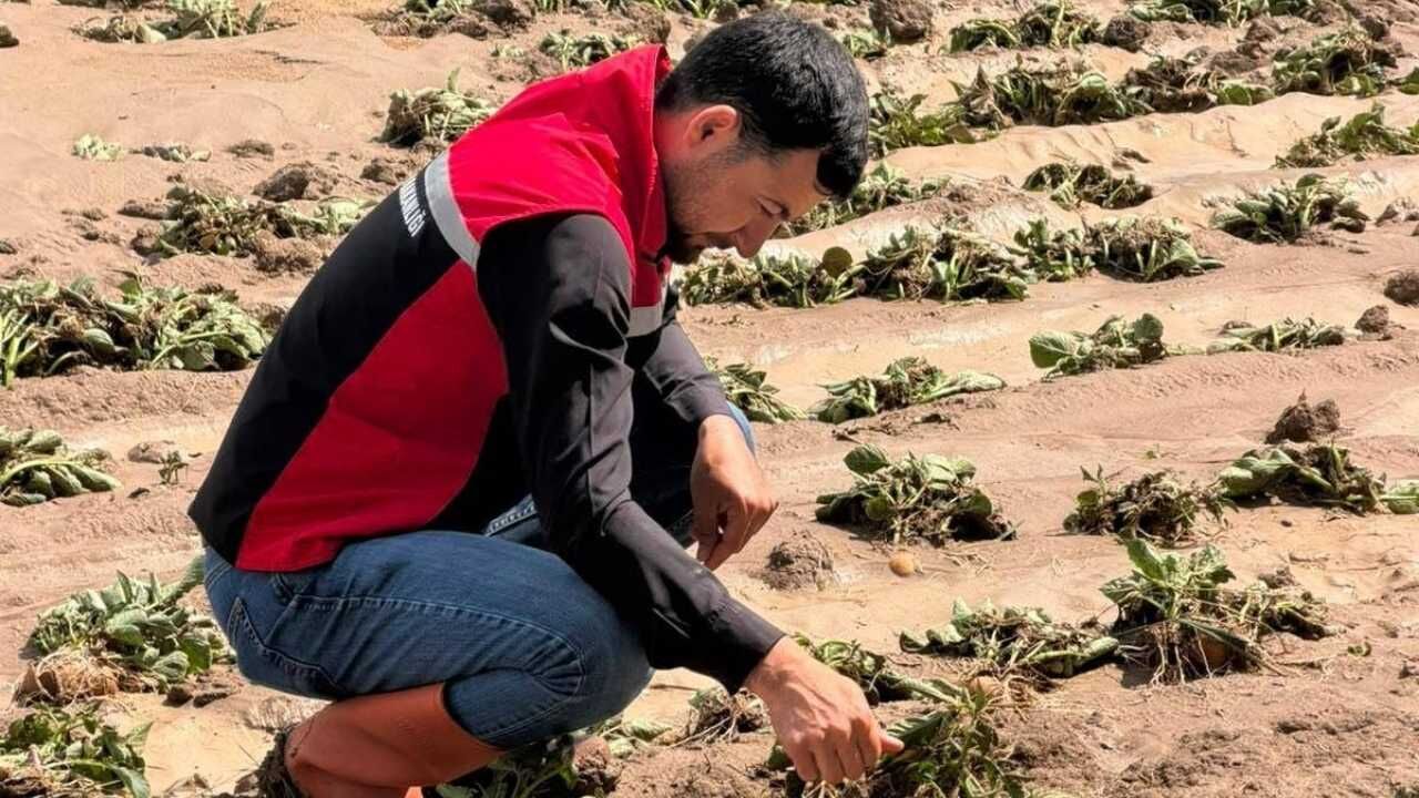 Yozgat'ın İki İlçesinde Aniden Bastırdı! Ekili Alanlar Savaş Alanına Döndü (3)