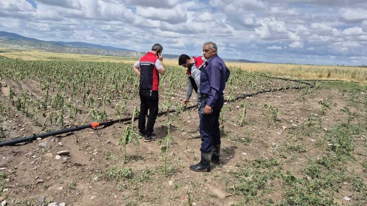 Yozgat'ın İki İlçesinde Aniden Bastırdı! Ekili Alanlar Savaş Alanına Döndü (5)