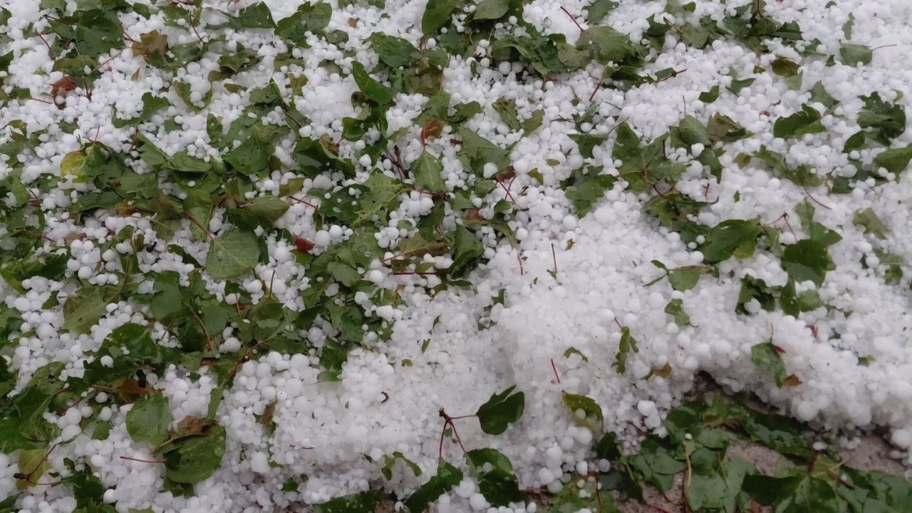 Yozgat'ın Köylerinde Yaşanan Dolu Afetinin Tablosu İçler Acısı (1)