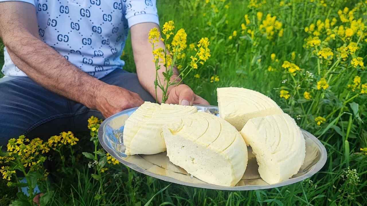 Yozgatlı Besicilerin Yayla Mesaisi Başladı 2 Bin 100 Rakımda Üretim Dönemi (3)
