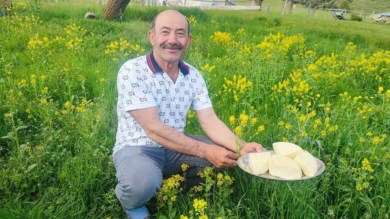 Yozgatlı Besicilerin Yayla Mesaisi Başladı 2 Bin 100 Rakımda Üretim Dönemi (5)