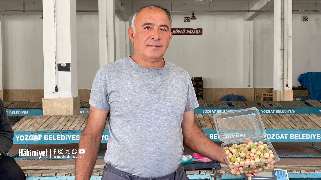 Yozgatlıların Yeni Lezzet Durağı Beyaz Çilek (2)