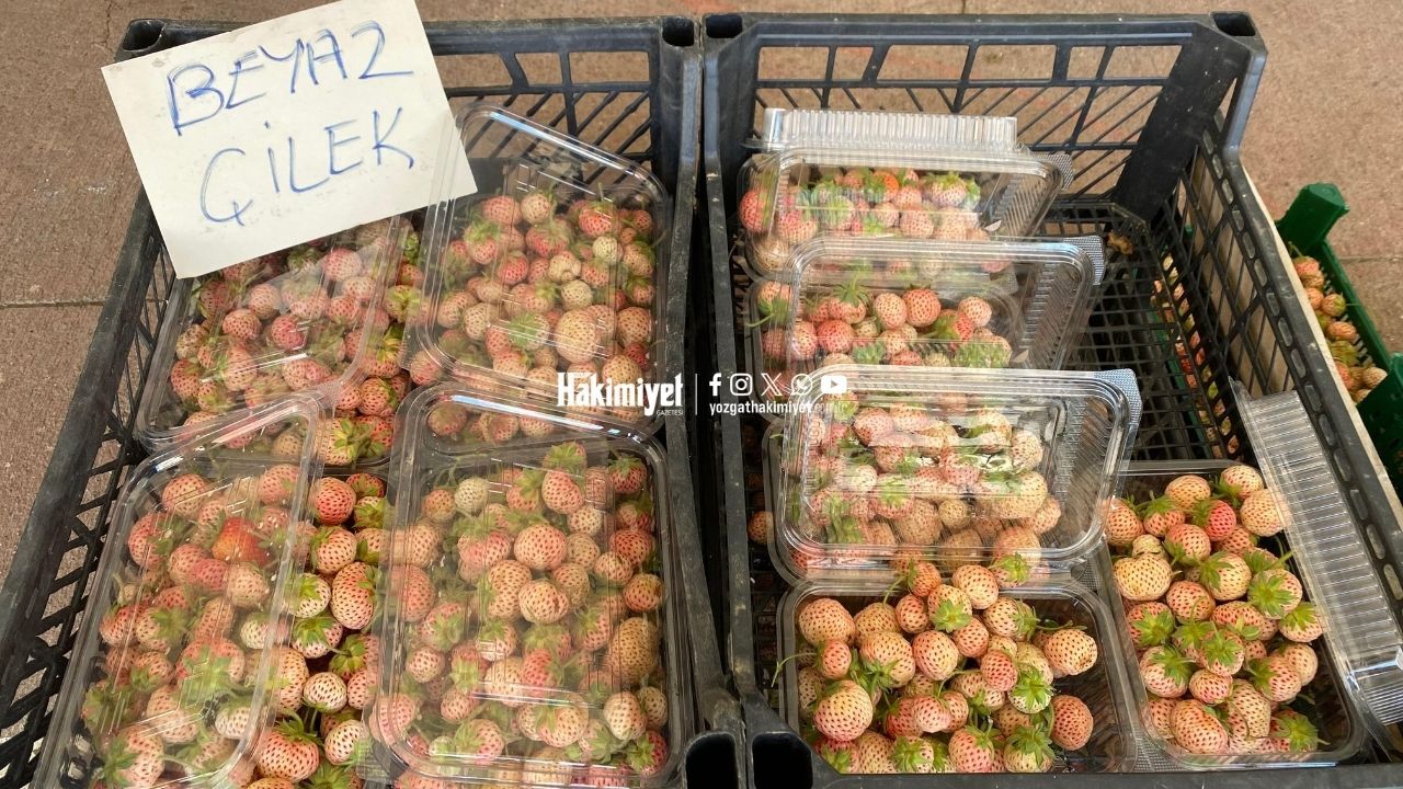 Yozgatlıların Yeni Lezzet Durağı Beyaz Çilek (5)