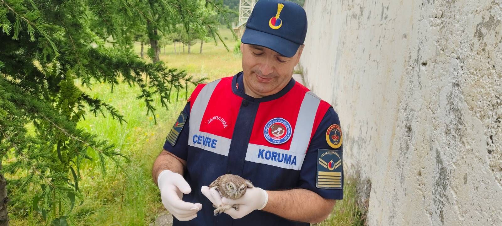 Yozgat'ta Çatıdan Düşen Yaralı Yavru Baykuş Jandarma El Uzattı1