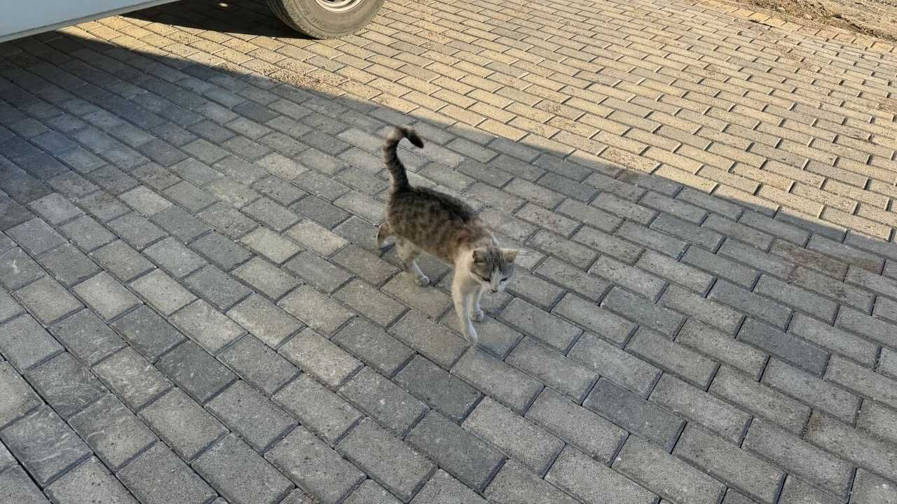 Yozgat’ta Duyarlı Vatandaş İhbar Etti, Belediye Ekipleri Harekete Geçti! (1)