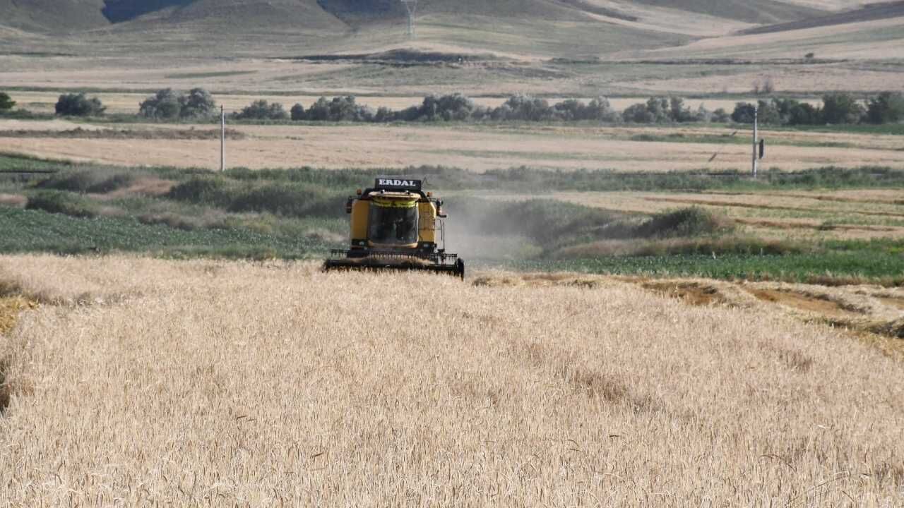 Yozgat'ta Hasat Mesaisi Başladı (3)
