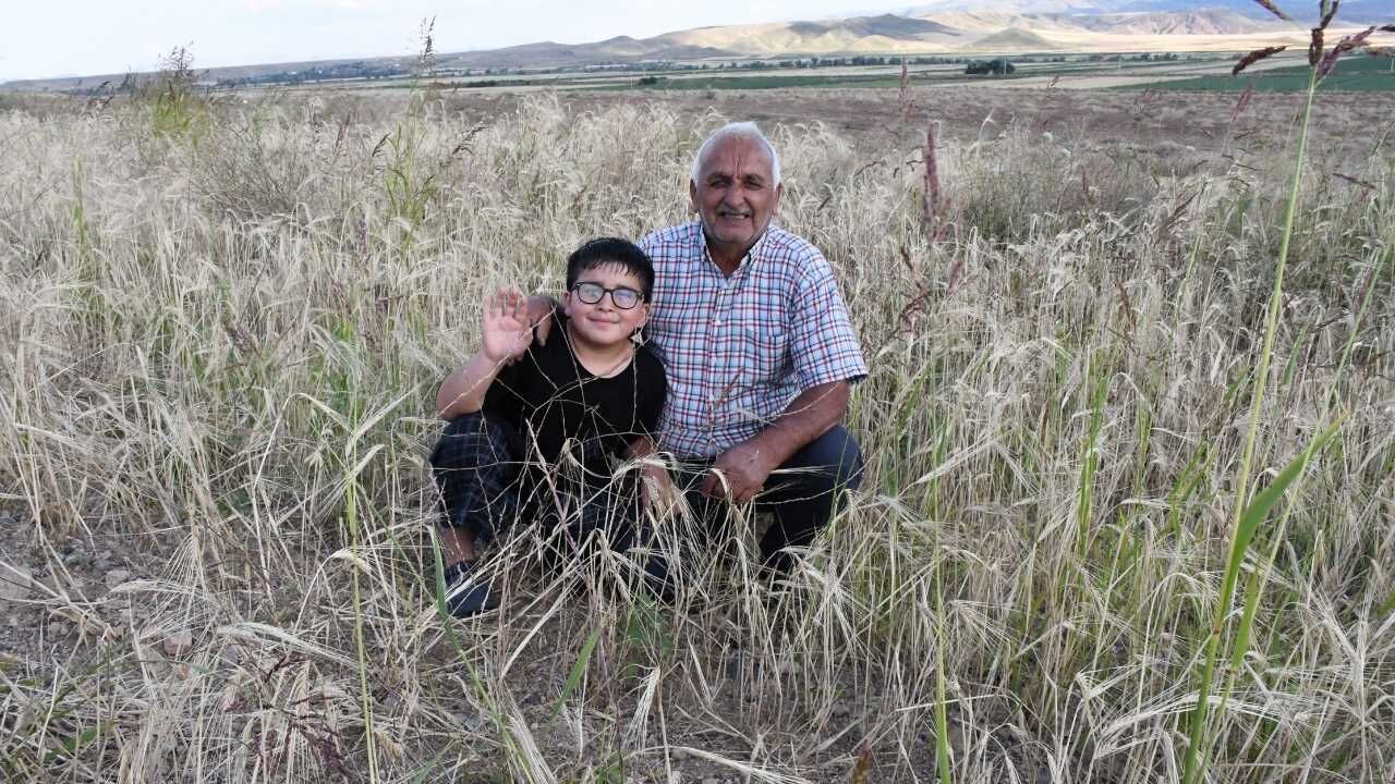 Yozgat'ta Hasat Mesaisi Başladı (6)