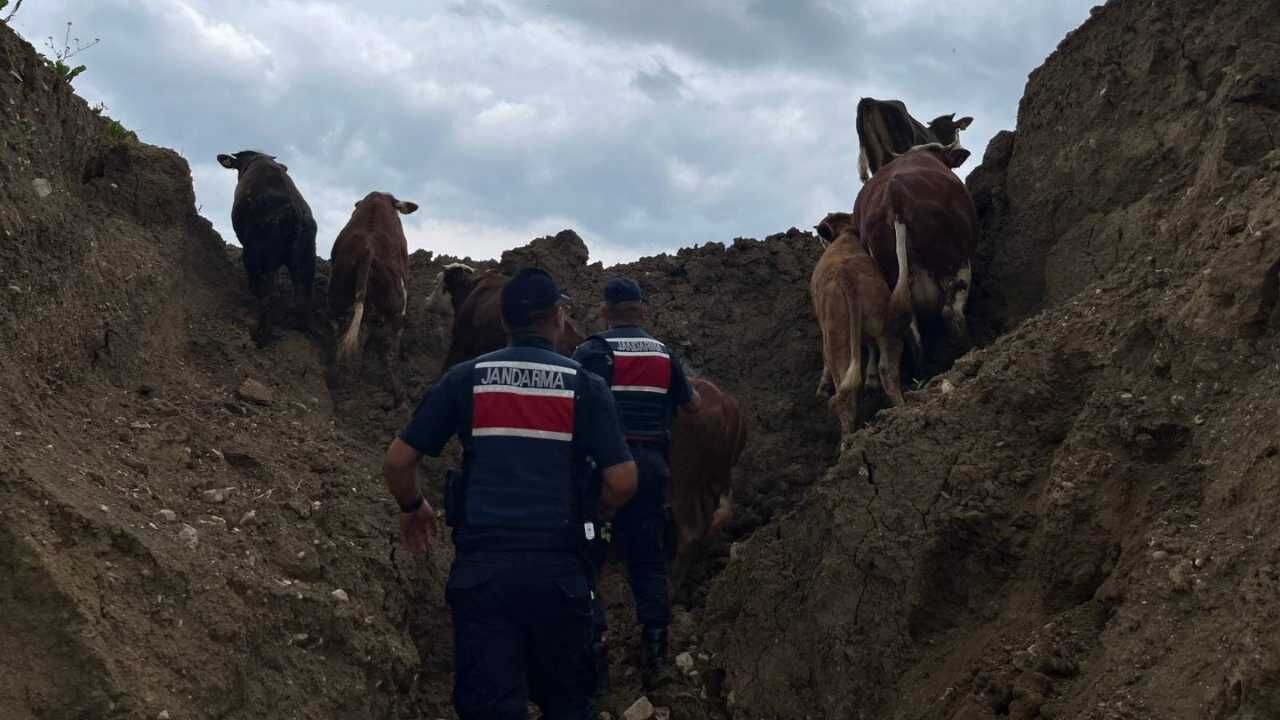 Yozgat’ta Jandarmadan Örnek Çalışma! Umutların Tükendiği Anda Devreye Girdiler (1)