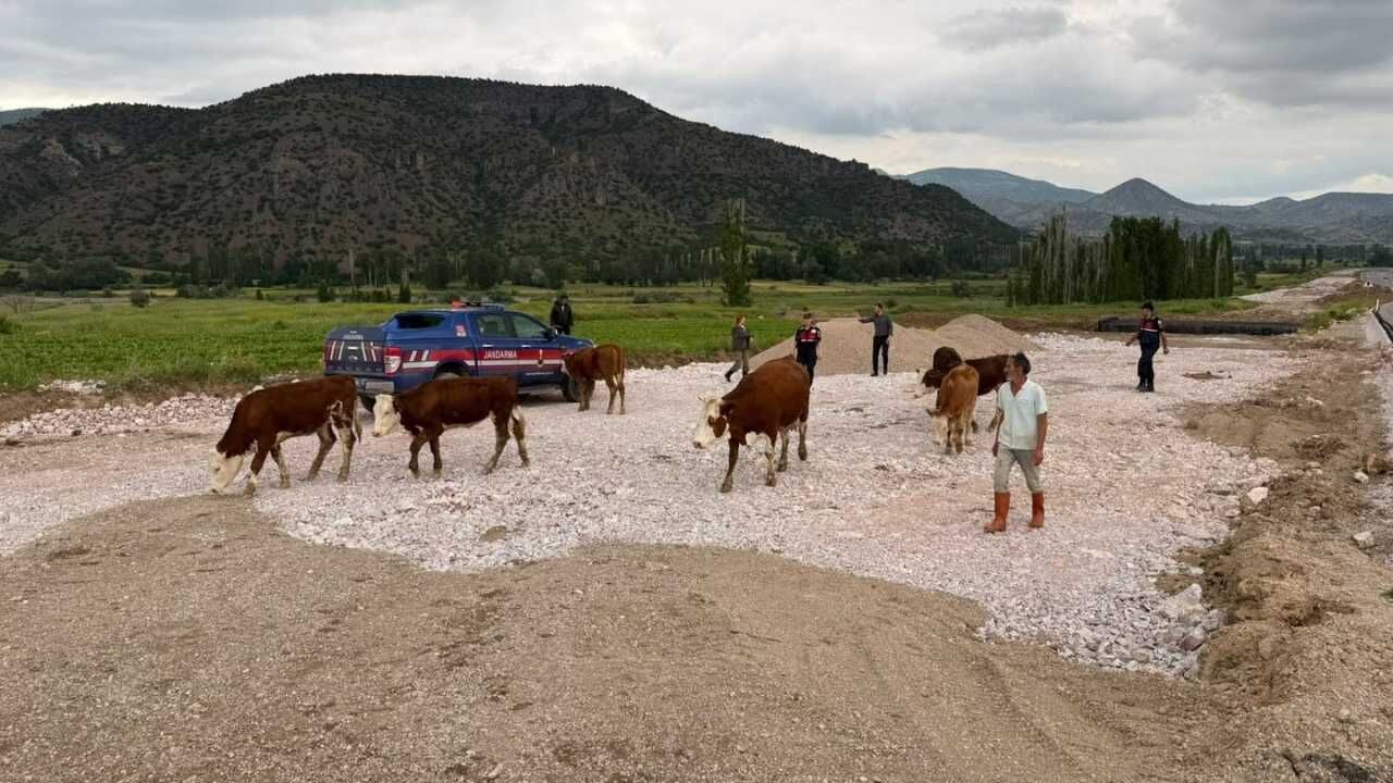 Yozgat’ta Jandarmadan Örnek Çalışma! Umutların Tükendiği Anda Devreye Girdiler (3)