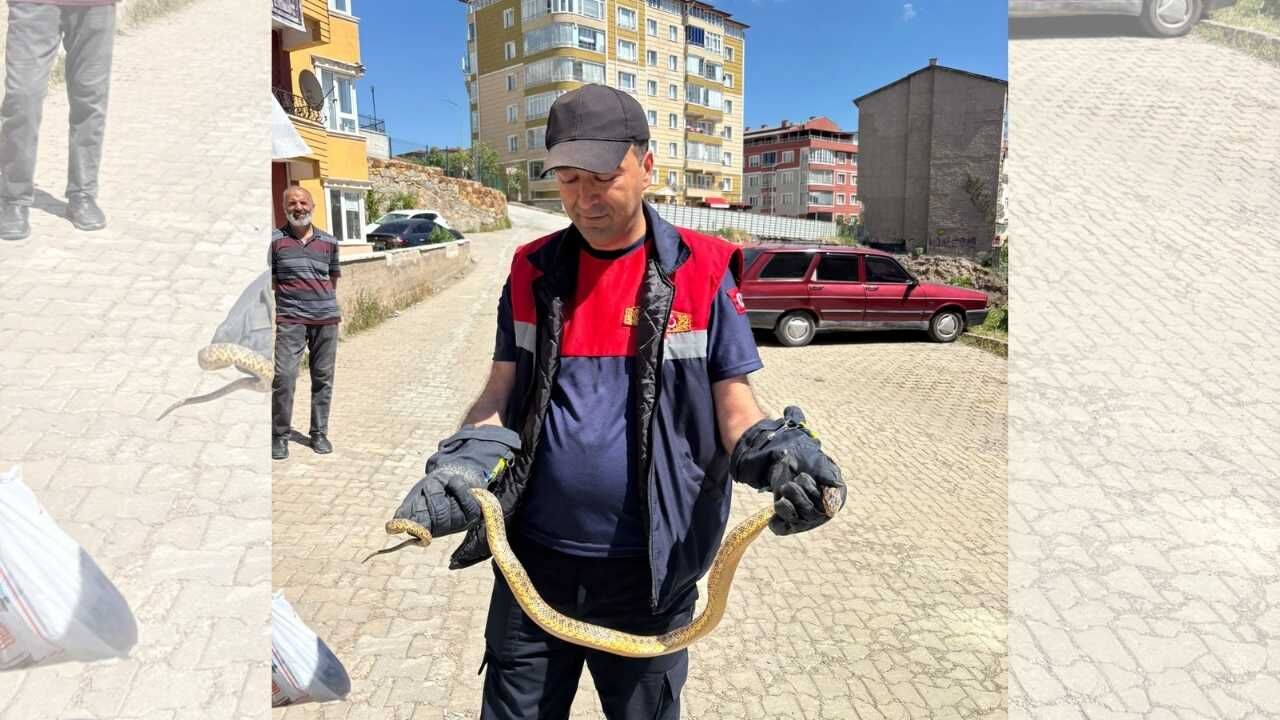 Yozgat'ta Kaputu Açan Sürücü Gördüklerine İnanamadı! (2)