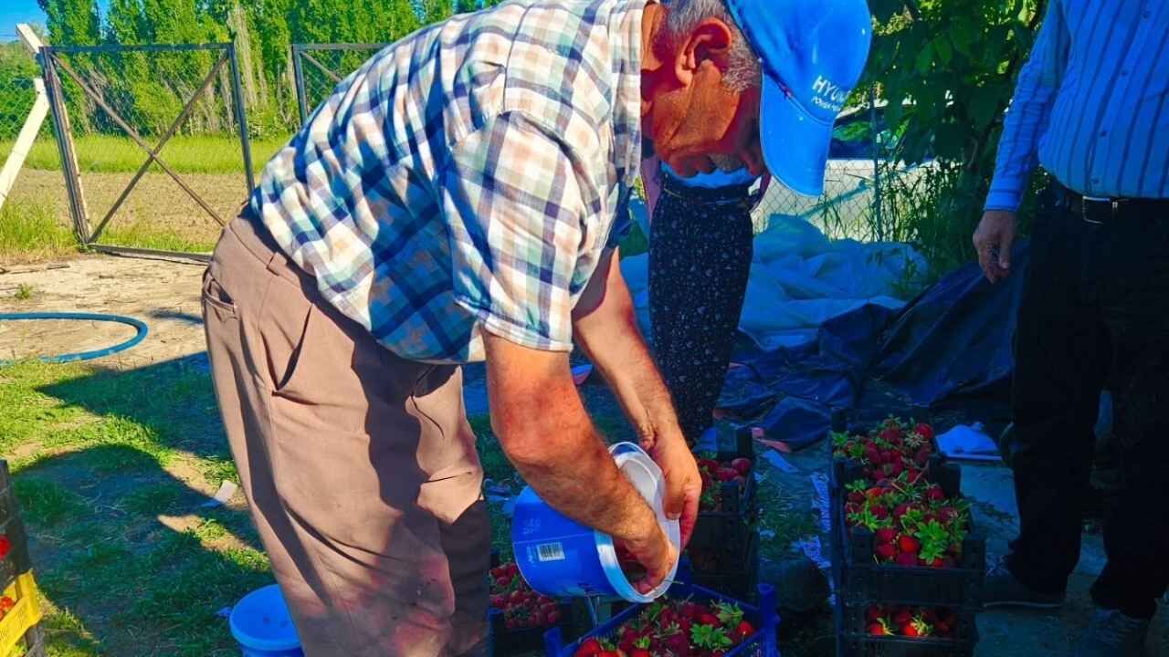 Yozgat'ta Kop Projesi Meyvelerini Veriyor (1)
