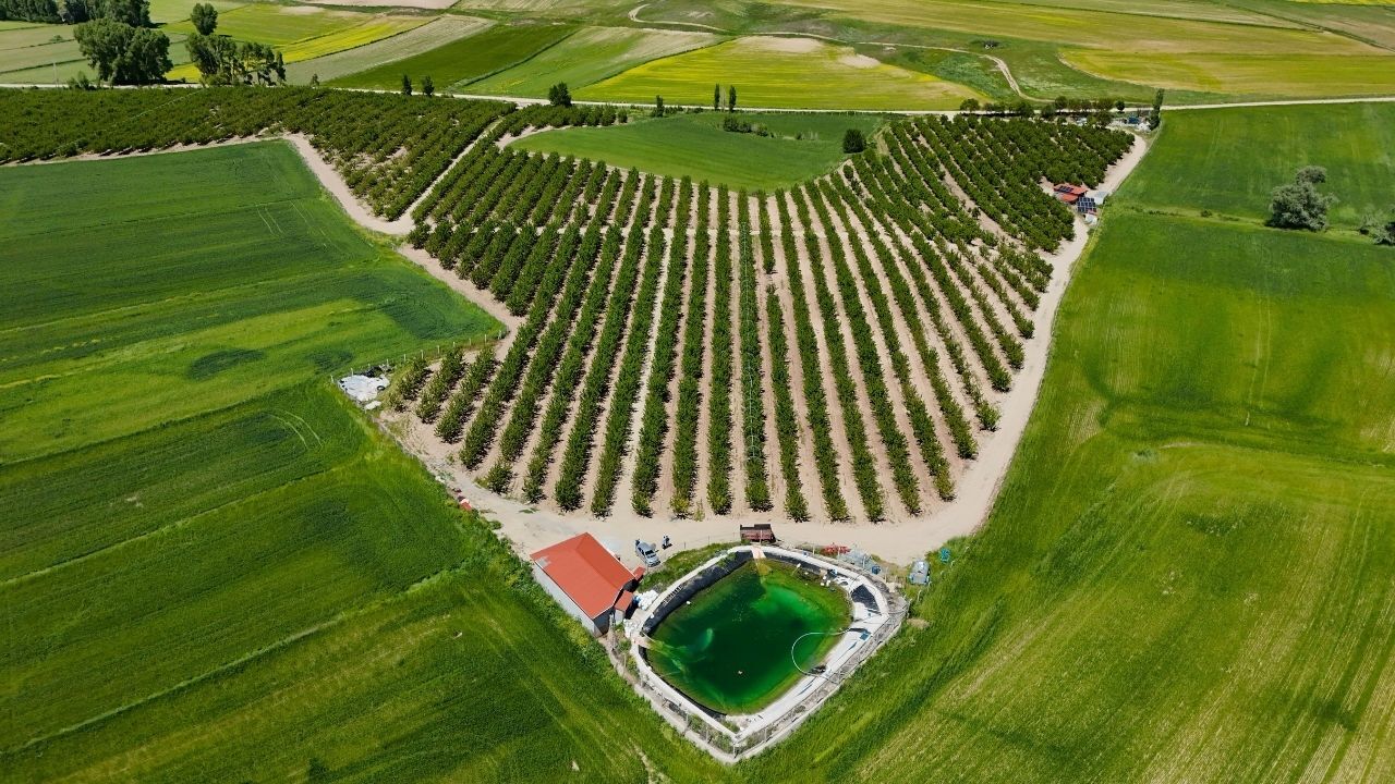 Yozgat'ta Üretildi, Dünyaya İhraç Ediliyor! (2)