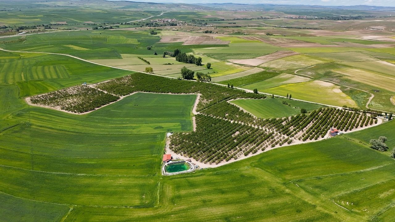 Yozgat'ta Üretildi, Dünyaya İhraç Ediliyor! (3)