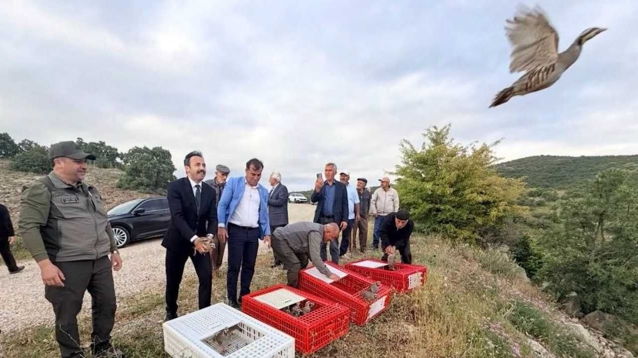 Yozgat’ta Üretilen 900 Adet Gizli Güç Kırşehir’de Doğaya Salındı! (1)