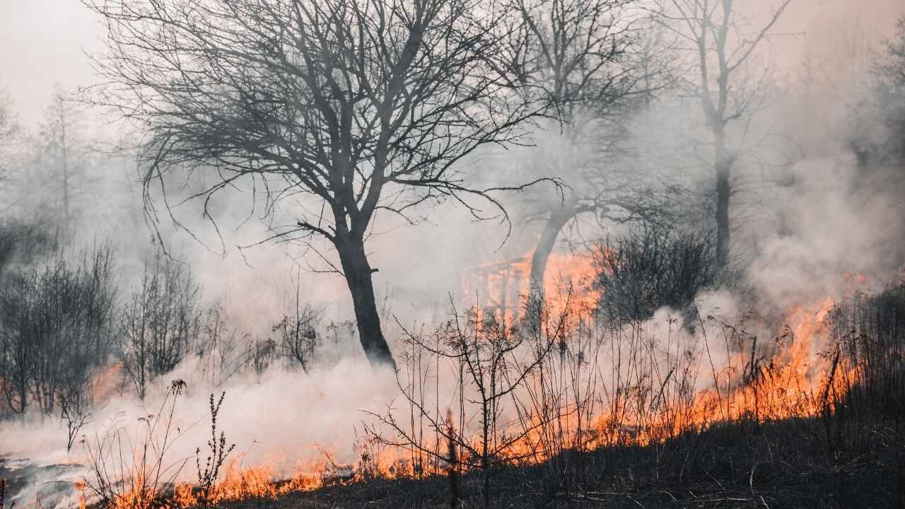 Yozgat'taki Yangınların Çoğu İnsan Kaynaklı! Valilikten Kritik Uyarı (3)