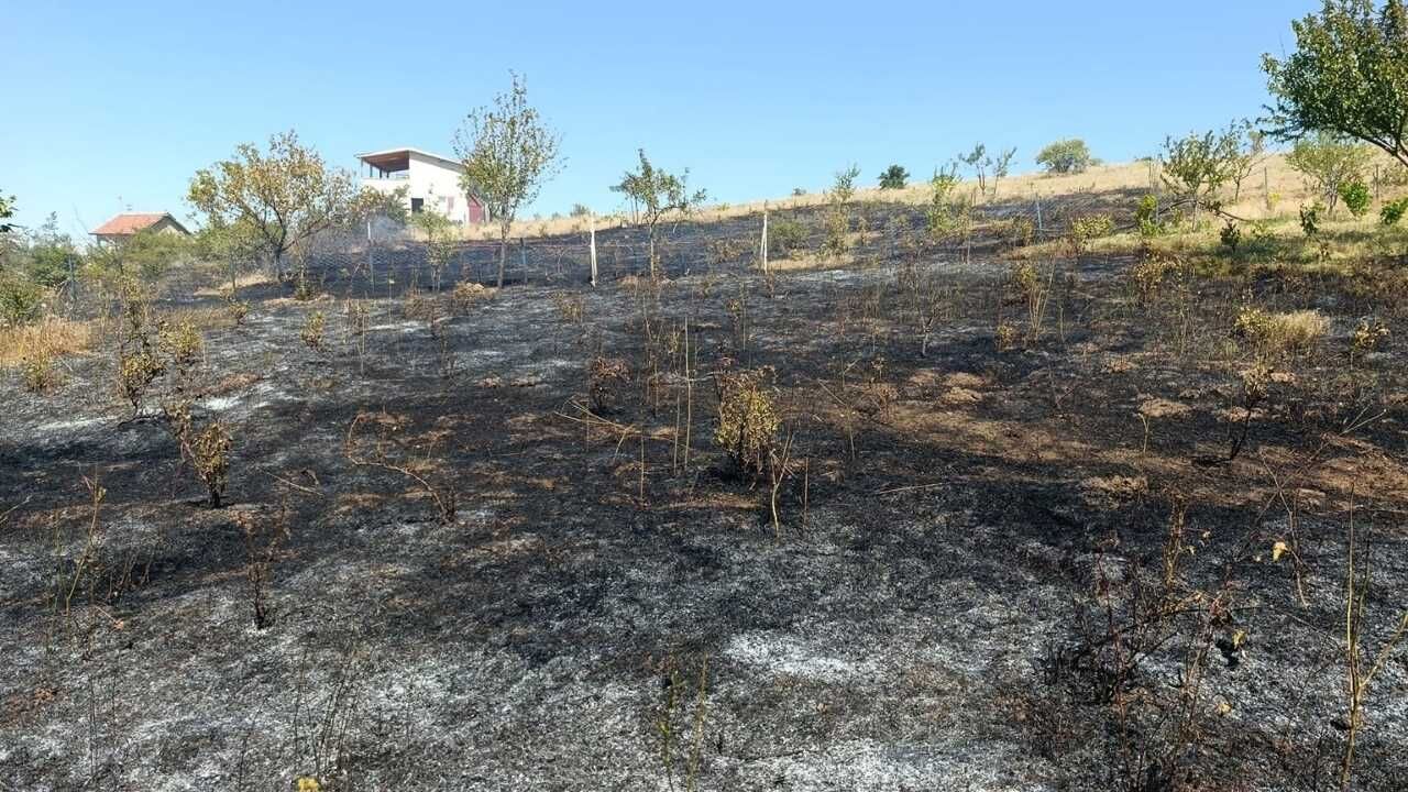 3 Dönüm Alan Kül Oldu! Yozgat’ta Yangının Çıkış Nedeni Araştırılıyor (5)