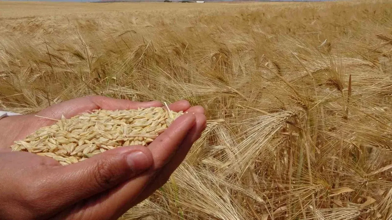 Boğazlıyan'da Hasat Öncesi Dikkat Çeken Toplantı1