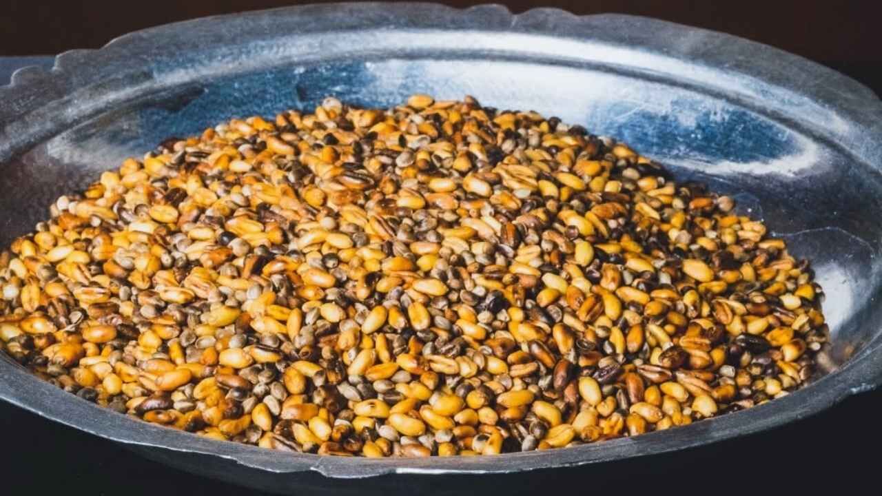 Hedik Ve Çedeneli Kavurga!