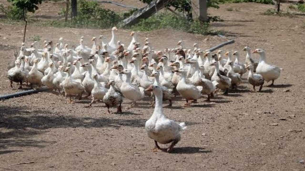 Kendi İşini Kurmak İsteyenler Müjde Yozgat Bozok Üniversitesinden Geldi (3)