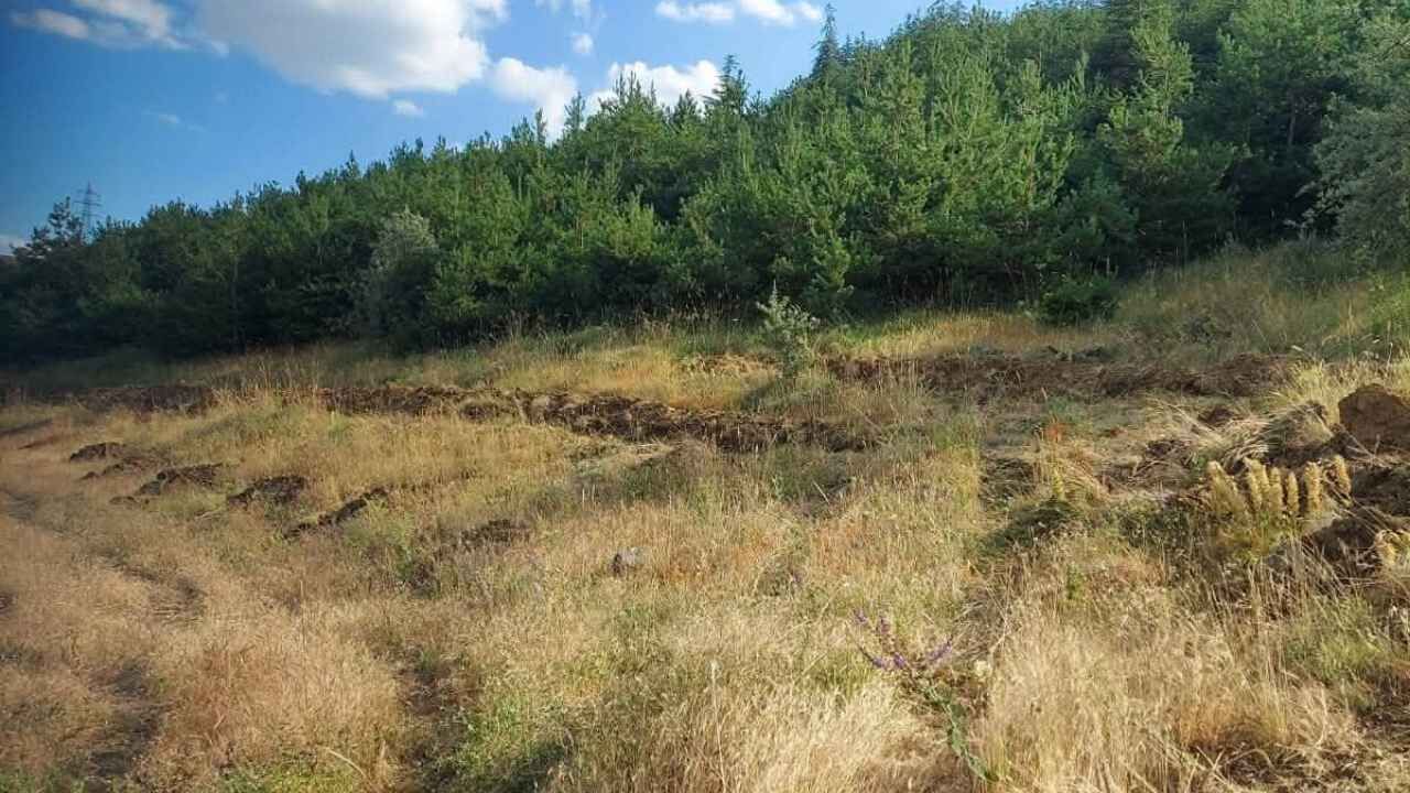 Şehit Bayram Eren Arslan'ın Anısı Yozgat'ta Hatıra Ormanıyla Yaşayacak (1)