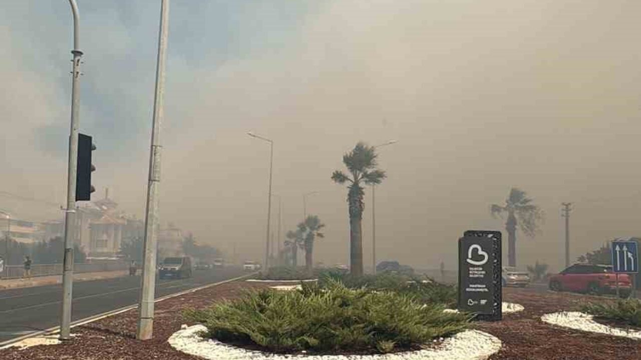 Son Dakika Altınoluk'ta Orman Yangını Çıktı! Havadan Ve Karadan Müdahale
