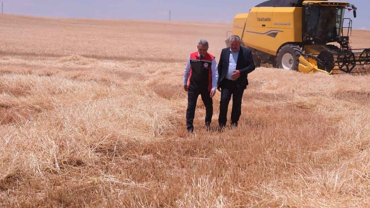 Tarım Ve Hayvancılık Yozgat Ekonomisinin Temelini Oluşturuyor (1)