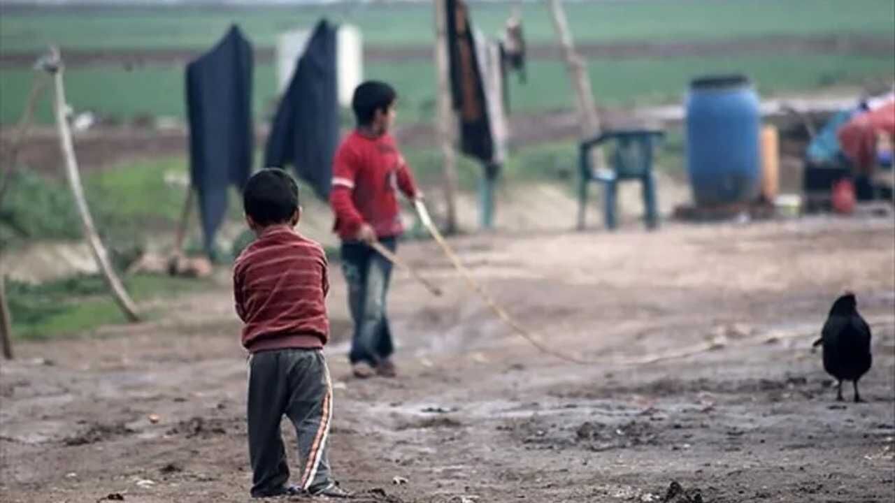 Tarlada Çalışan Küçük Ellerin Yükü Ağır Yozgat'ın Minik Emekçileri (3)