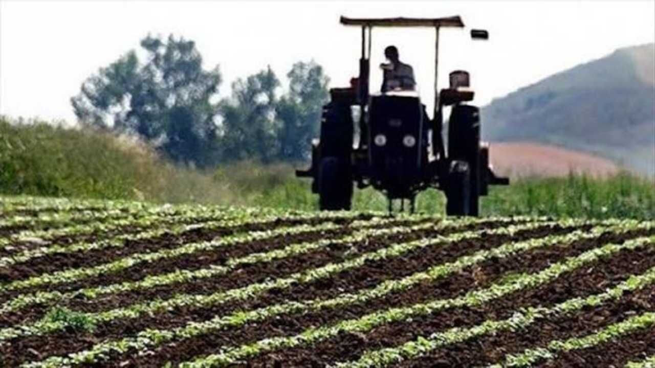 ‘Tarlada Kalan Ürünler Sonumuz Olacak!' Yozgat'tan Tarımda Dengeleri Değiştirecek Çıkış (2)