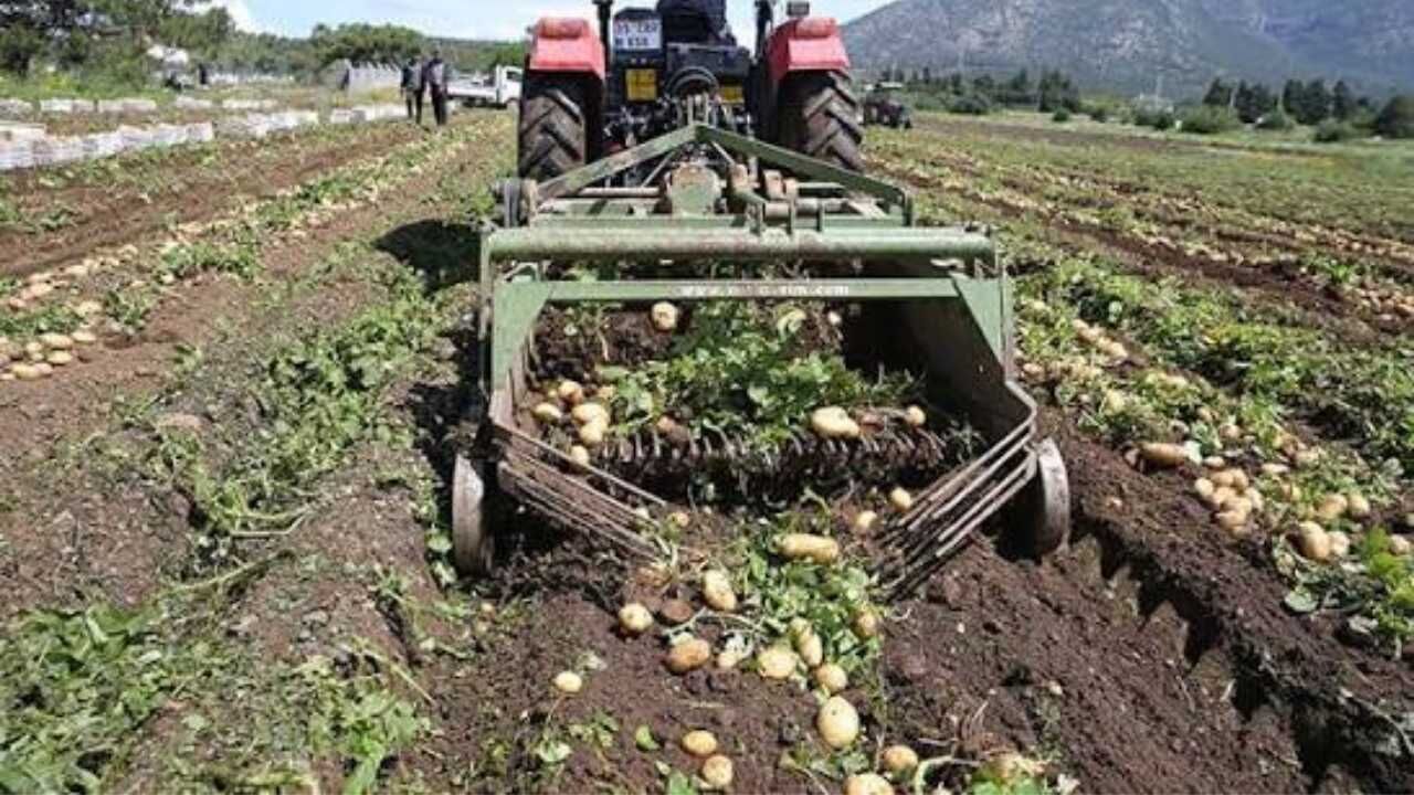 ‘Tarlada Kalan Ürünler Sonumuz Olacak!' Yozgat'tan Tarımda Dengeleri Değiştirecek Çıkış (3)
