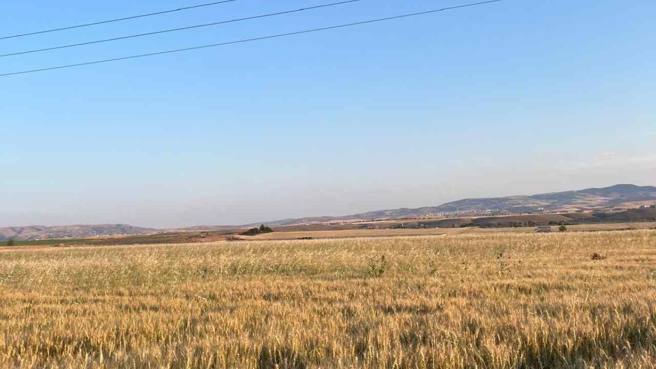 Tmo Randevu Sistemi Yozgatlı Çiftçileri Zorluyor (4)