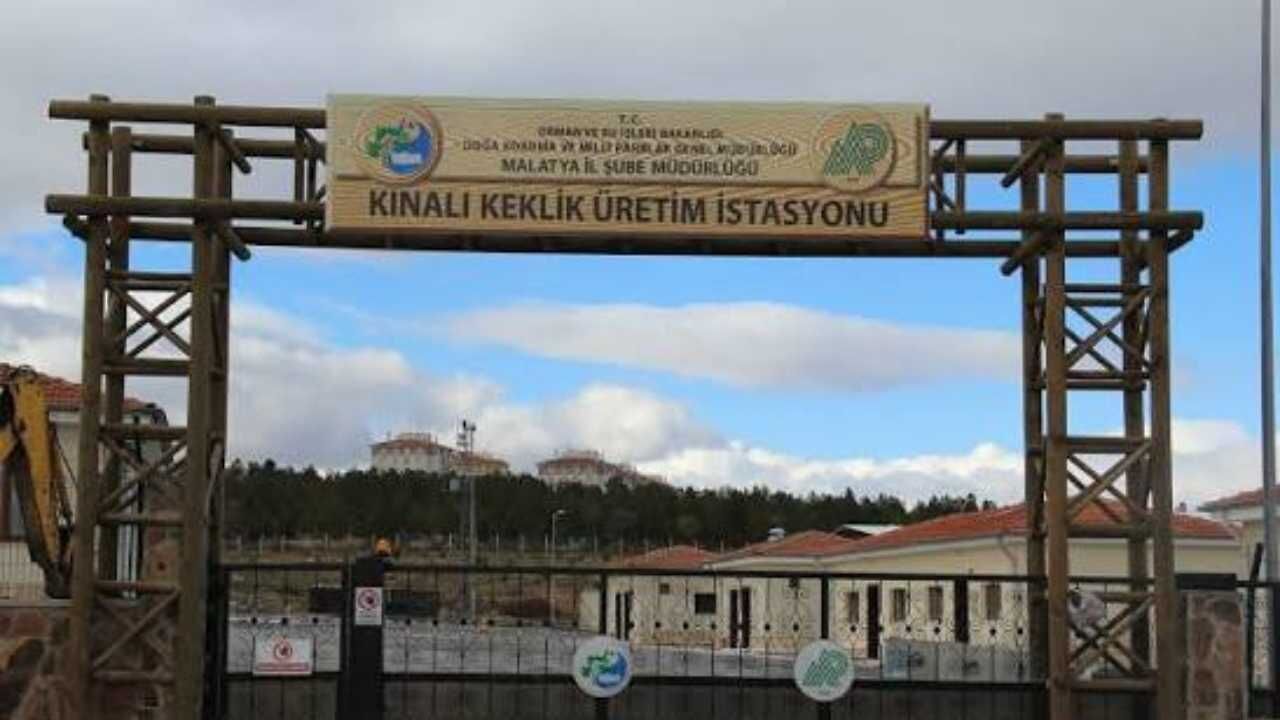 Türkiye’nin Dört Bir Yanına Gönderiliyor! Yozgat’tan Doğaya Büyük Destek (2)