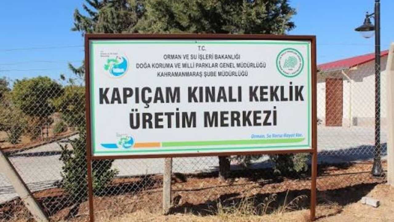 Türkiye’nin Dört Bir Yanına Gönderiliyor! Yozgat’tan Doğaya Büyük Destek (3)