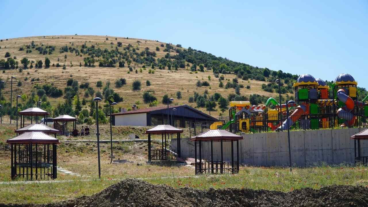 Yozgatlı Vatandaşlar Çayını Doğadan Topluyor (3)
