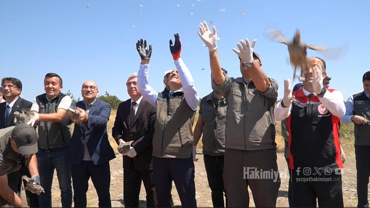 Yozgat Çamlık’ta Yüzlerce Keklik Aynı Anda Kanat Çırptı (3)