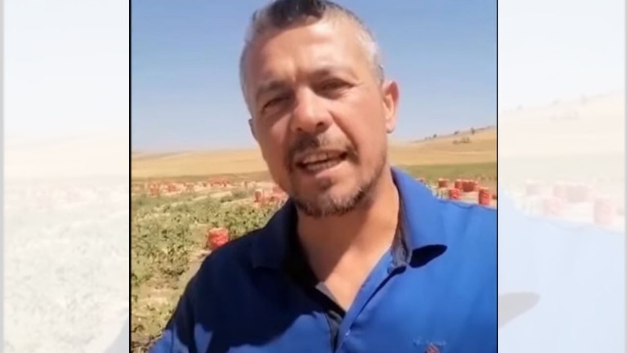Yozgat Kazankaya’da Soğan Tarlada Kaldı Çürümeye Bırakıldı (1)