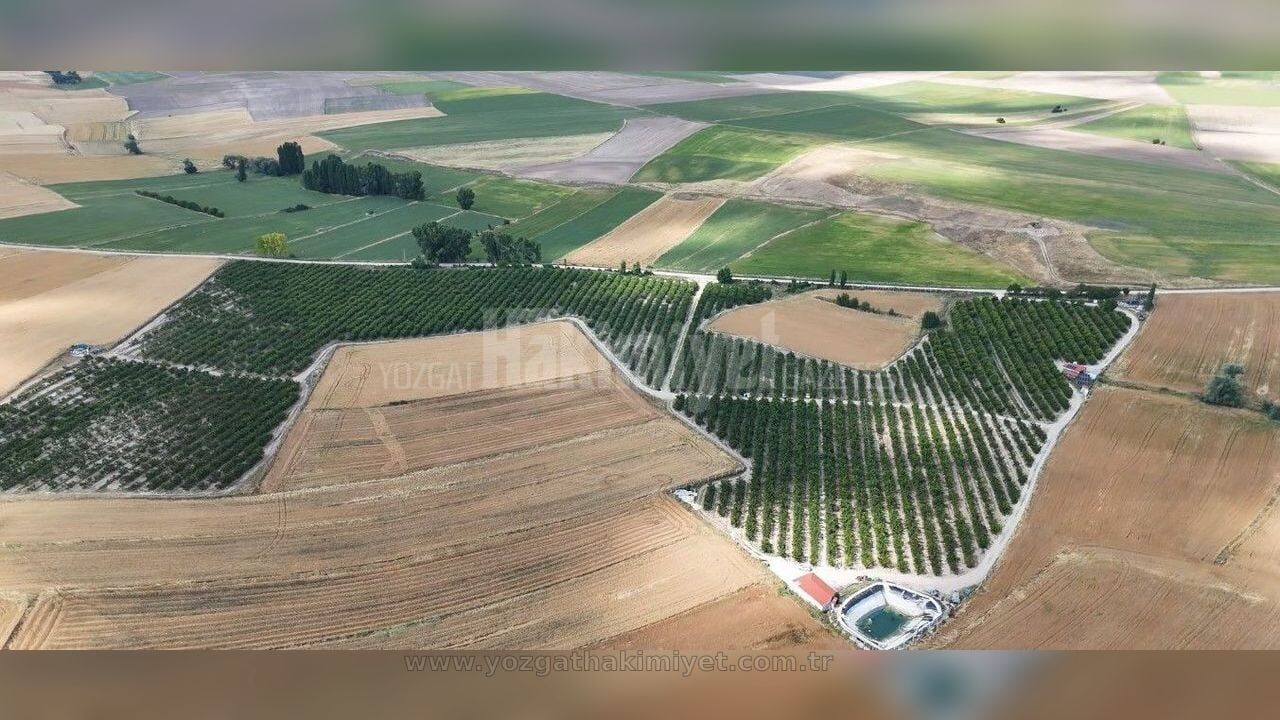 Yozgat Kiraz Hasadi Sorgun 04 1280X720
