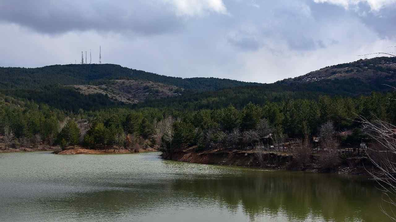 Yozgat'ın 500 Yıllık Karaçamları Dünyada Sadece Bir Bölgede Daha Bulunuyor (3)-1