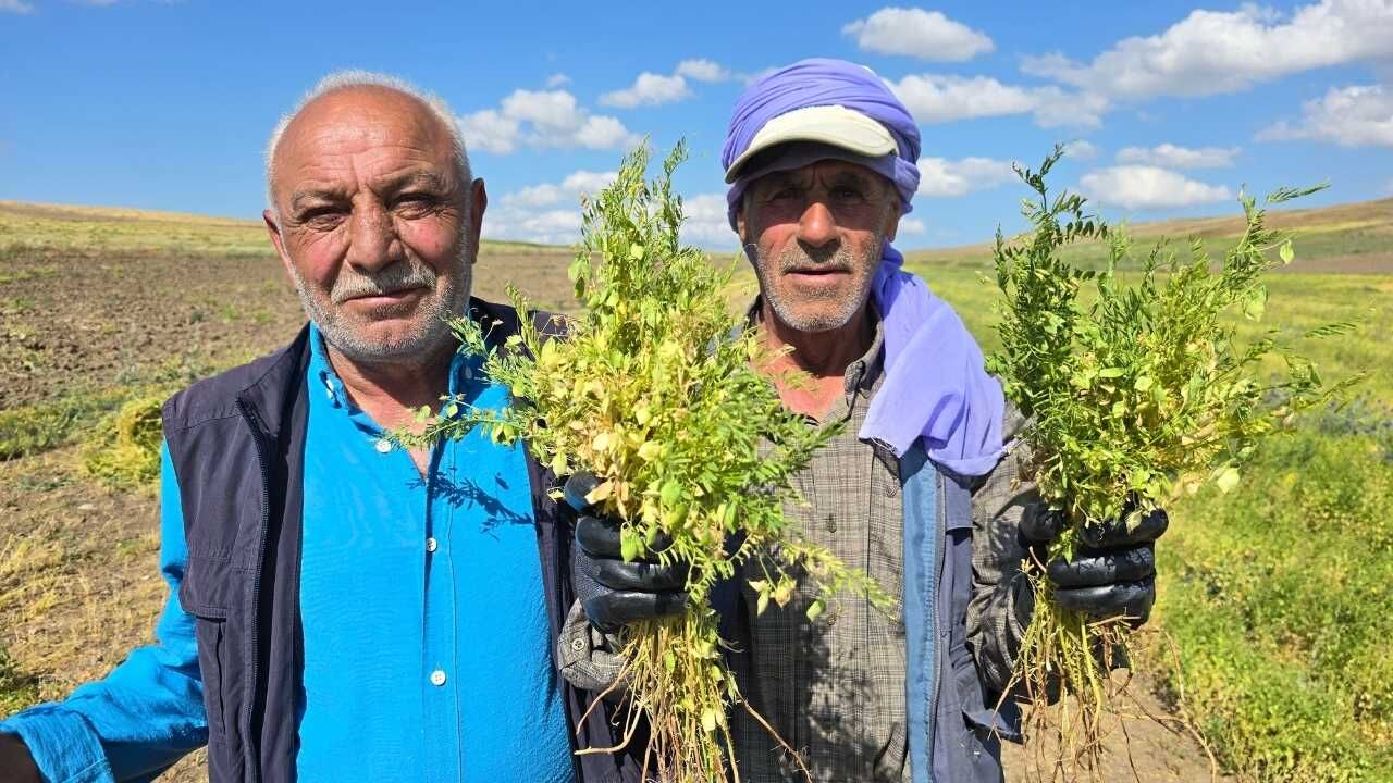 Yozgat'ın Yeşil Altınının Tarihi Yeniden Yazılıyor! (1)