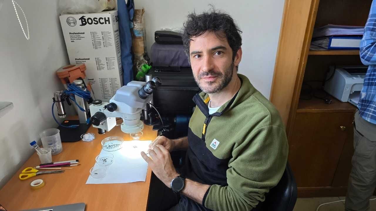 Yozgat'ın Yeşil Altınının Tarihi Yeniden Yazılıyor! (5)