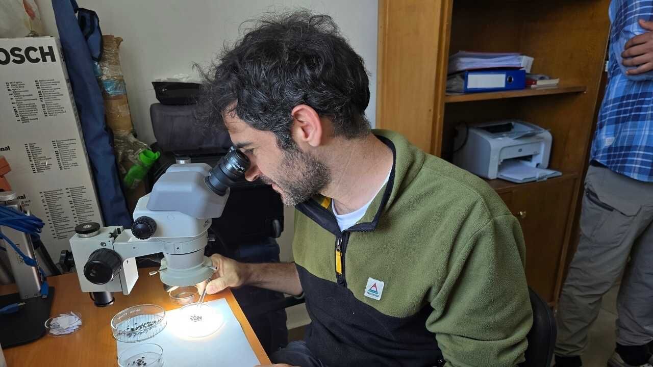 Yozgat'ın Yeşil Altınının Tarihi Yeniden Yazılıyor! (7)