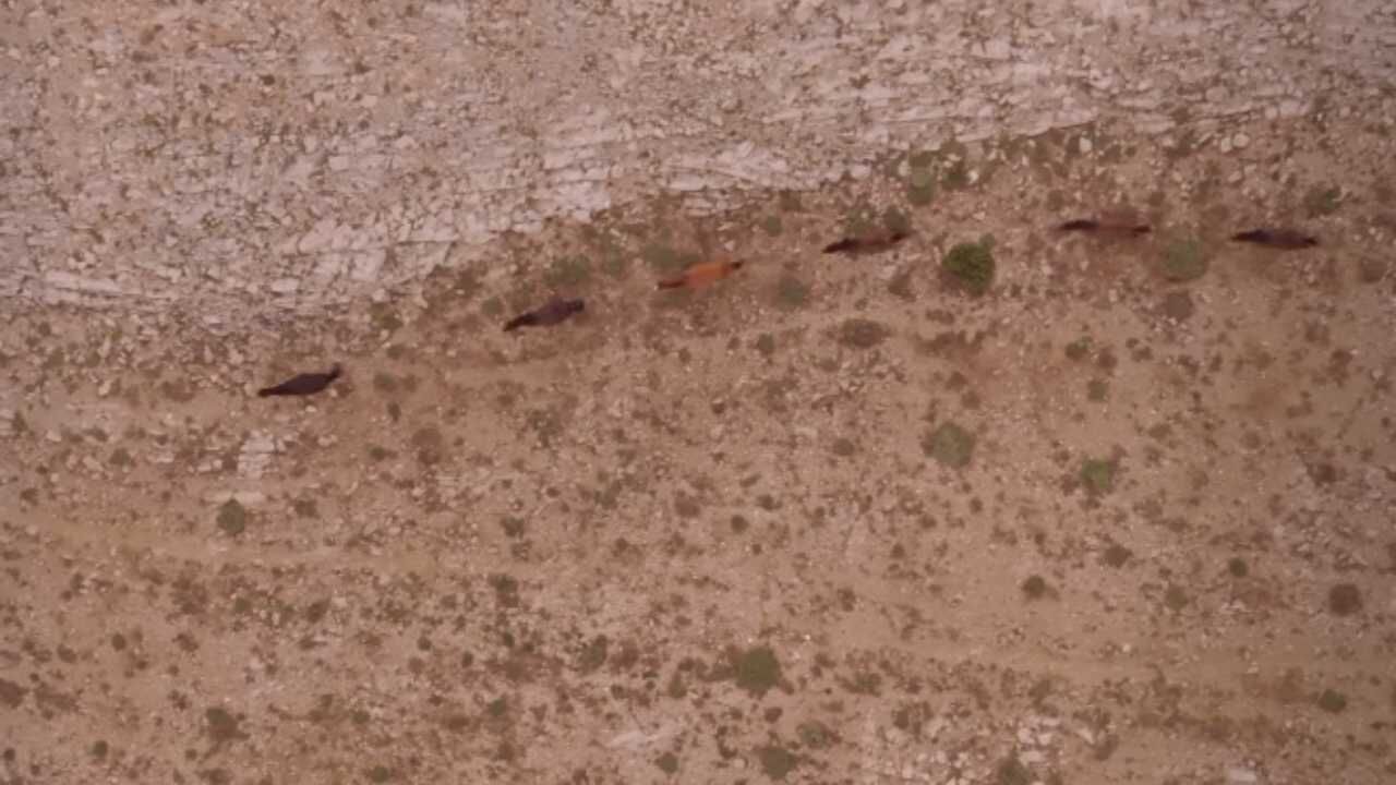 Yozgat'ın Zirvesinde Özgürlüğün Tablosu! Görenler Haran Kaldı (2)