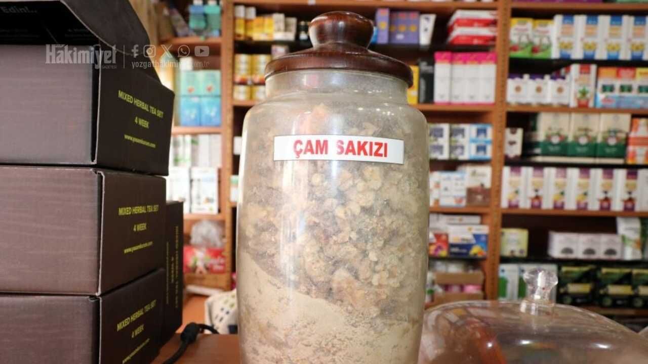 Yozgatlı Aktardan Şifa Deposu Tavsiyesi Ağaç Kabuğundan Gelen Mucize! (1)
