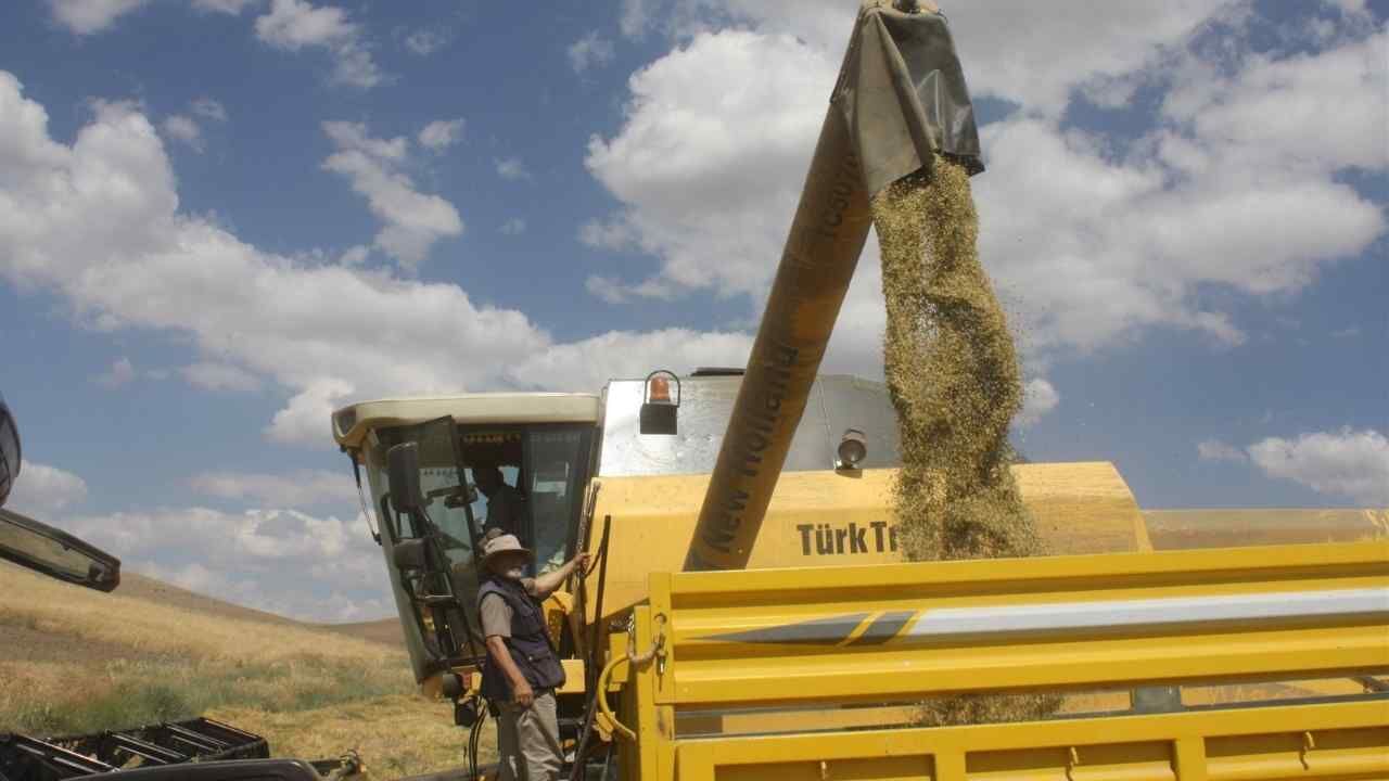 Yozgatlı Çiftçiden Türkiye'de Ezber Bozan Hasat! (3)