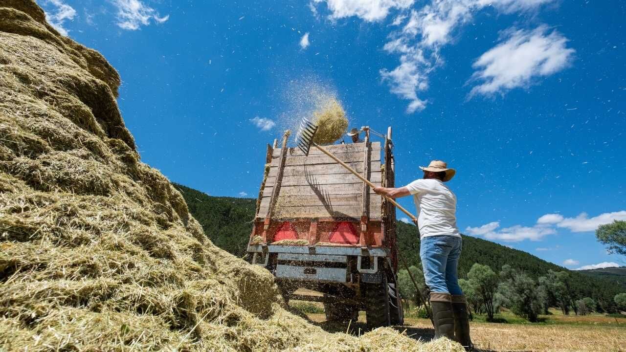 Yozgatlı Çiftçiler Kış İçin Sahaya İndi Zorlu Hazırlık Telaşı Başladı! (1)