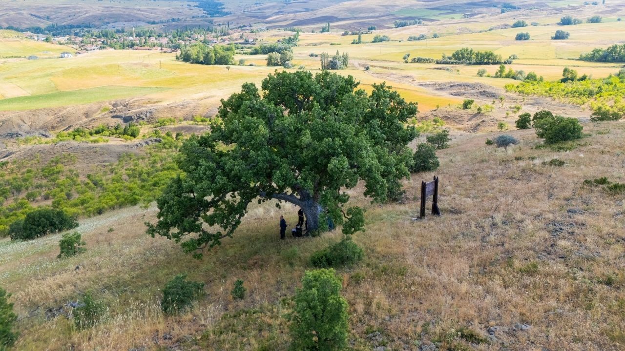 Yozgat'ta 554 Yıllık Anıt Köylülere Emanet (6)
