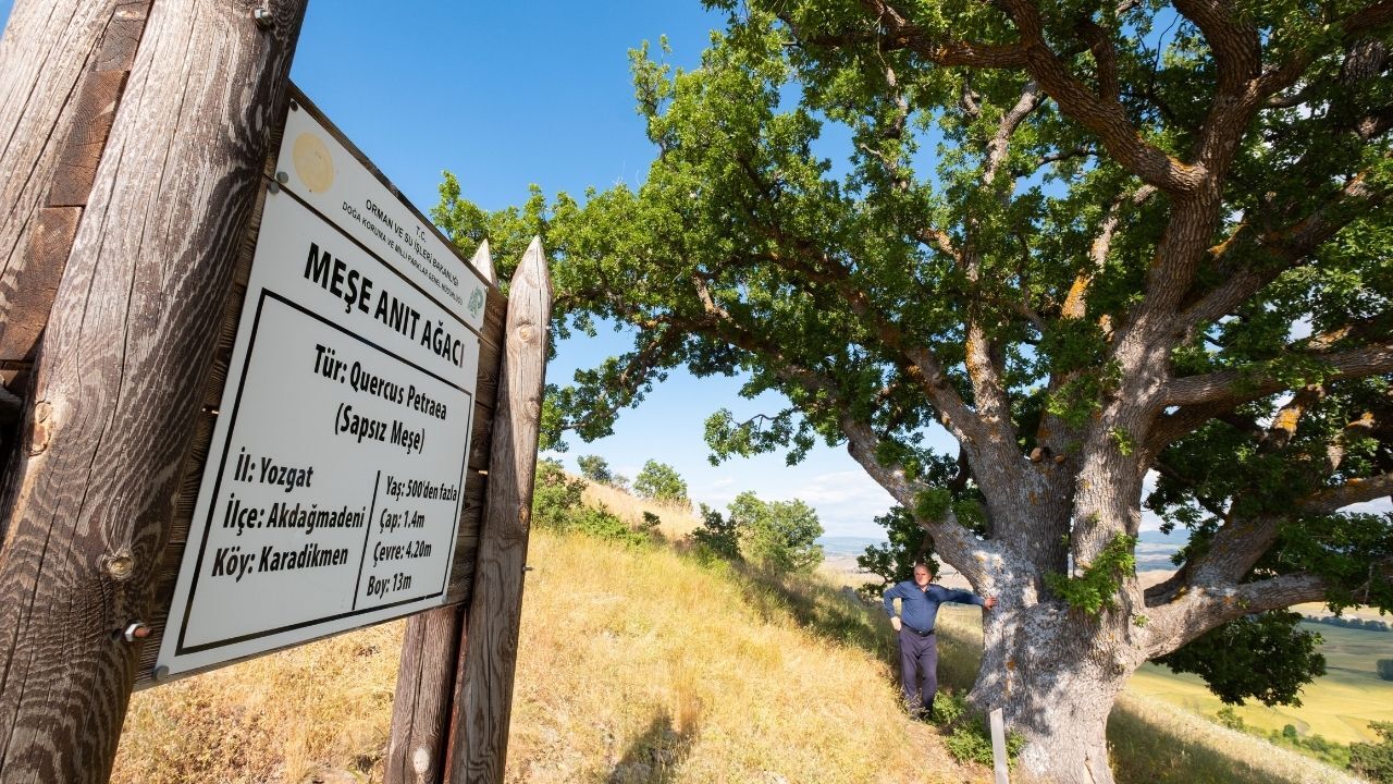 Yozgat'ta 554 Yıllık Anıt Köylülere Emanet (7)