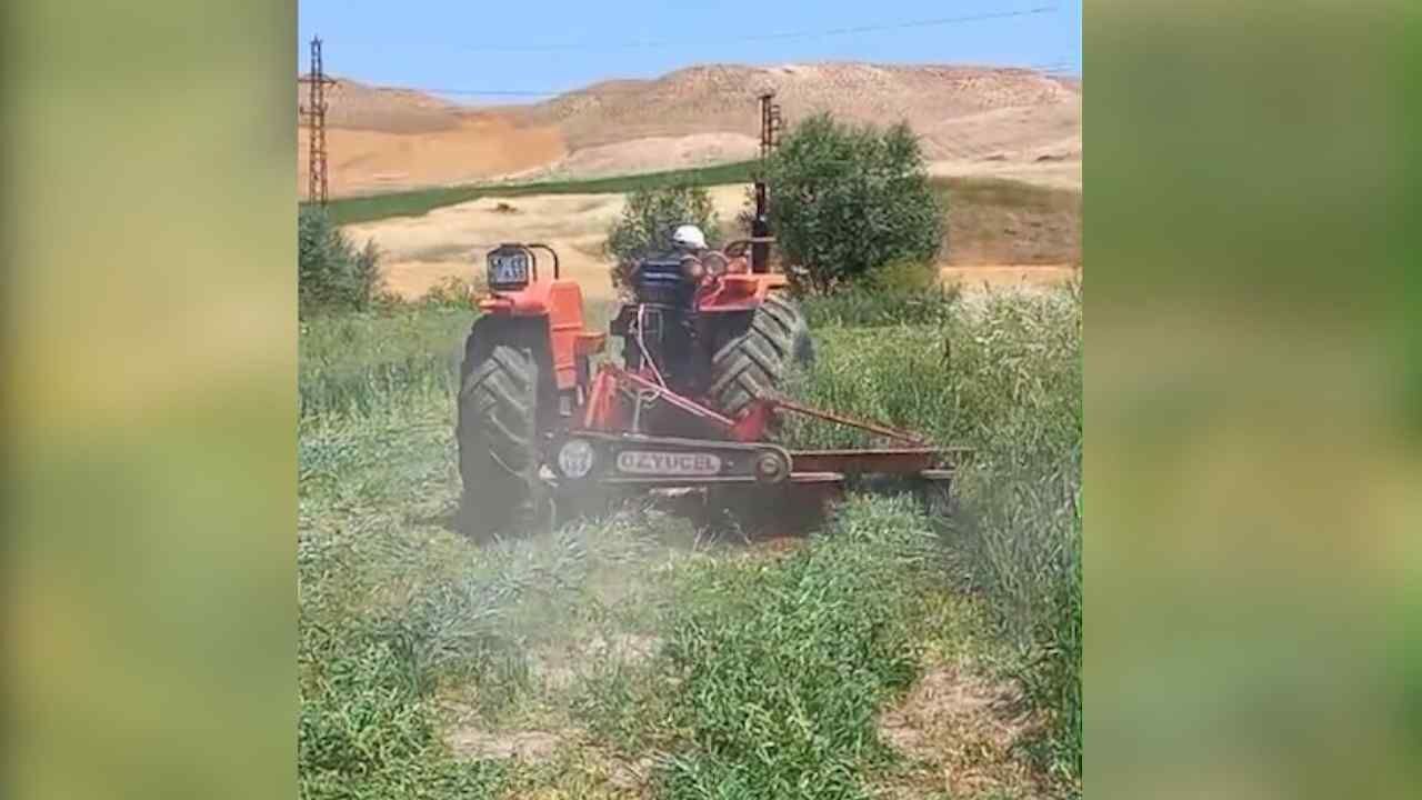 Yozgat'ta 5'Li Karışım Yem Bitkisi Deneme Ekimi Başarıyla Tamamlandı (2)